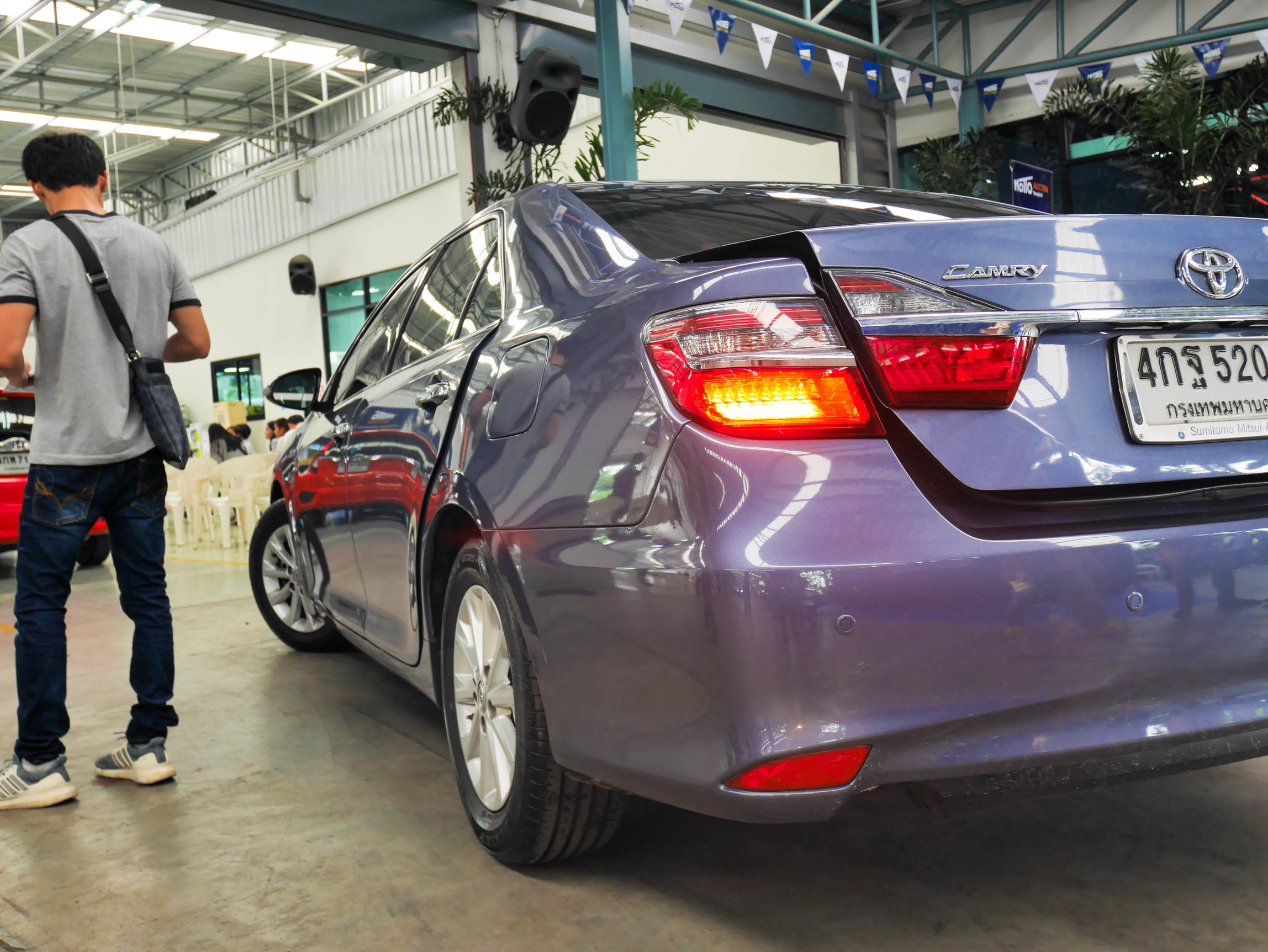 希少肥松オブジェ 希少肥松オブジェ